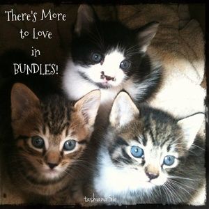 😻 ☆ BUNDLE 3 ITEMS = SAVE 30% + DISCOUNT SHIPPING